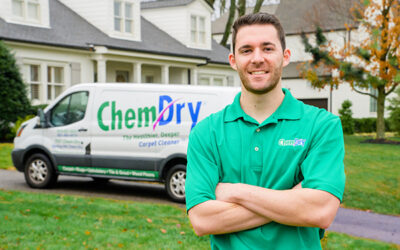 5 Benefits of Using Professional Carpet Cleaners