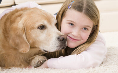 How Do You Clean Up Pet Urine?