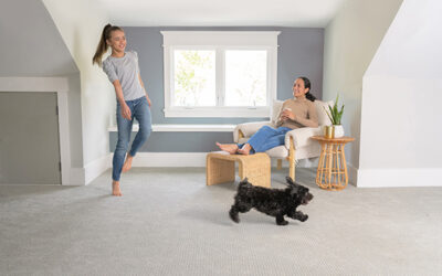 How Often Should You Have Your Carpets Cleaned?