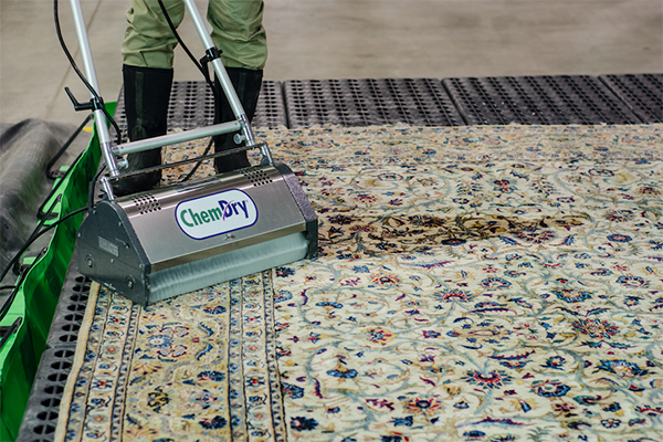 Is Your Rug Clean?