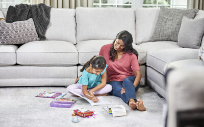 Understanding Our Carpet Cleaning Service Protectant Package