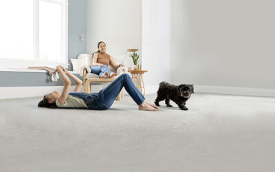 What’s the Best Carpet Cleaner?